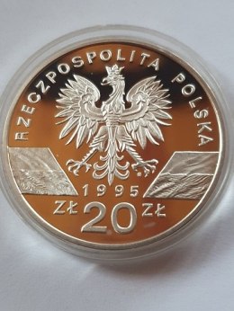 20 zł Sum 1995 rok