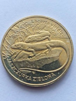 2 zł Jaszczurka Zielona 2009 r