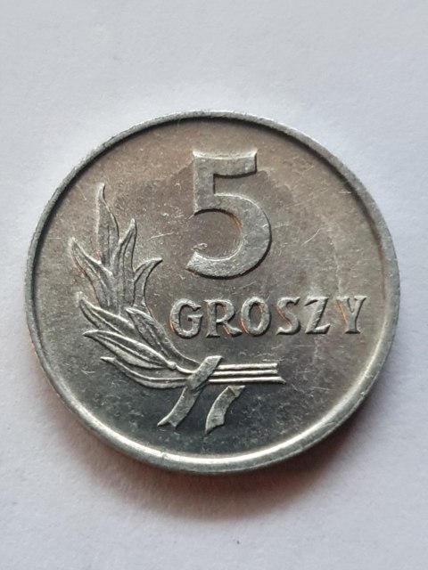 5 groszy 1962 r