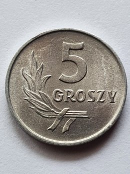 5 groszy 1962 r