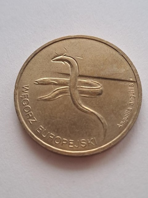 2 zł Węgorz Europejski 2003 r