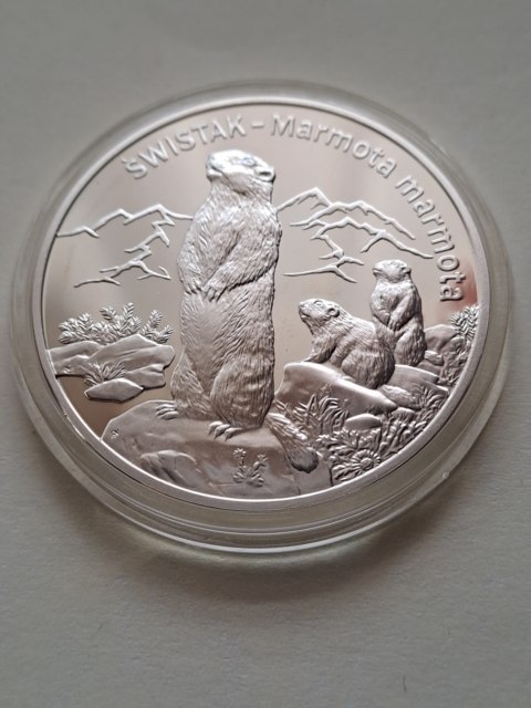 20 zł Świstak 2006 r