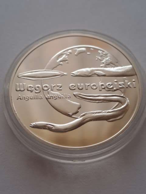 20 zł Wegorz Europejski 2003 r
