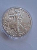 USA Dollar Liberty 2013 r