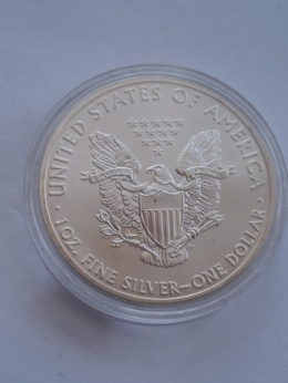 USA Dollar Liberty 2013 r