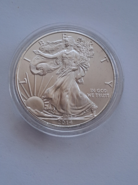 USA Dollar Liberty 2014 r