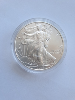 USA Dollar Liberty 2019 r