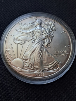 USA Dollar Liberty 2011 r