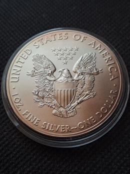 USA Dollar Liberty 2014 r