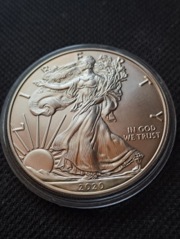 USA Dollar Liberty 2020 r