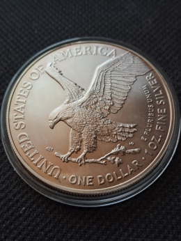 USA Dollar Liberty 2021 r