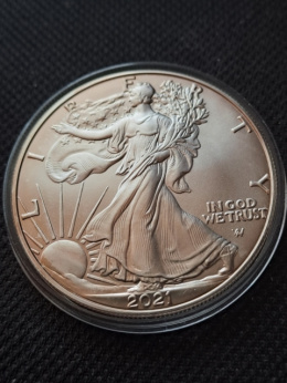 USA Dollar Liberty 2021 r