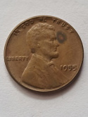 USA 1 Cent 1955 r