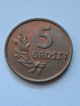 5 groszy 1949 r