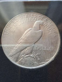 USA Dollar Peace 1922 r