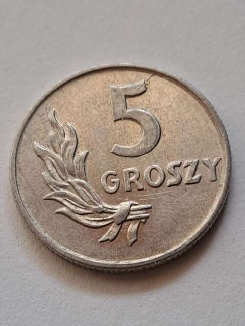 5 groszy 1949 r