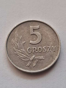 5 groszy 1963 r