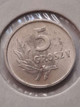 5 Groszy 1958 r