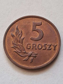 5 groszy 1949 r