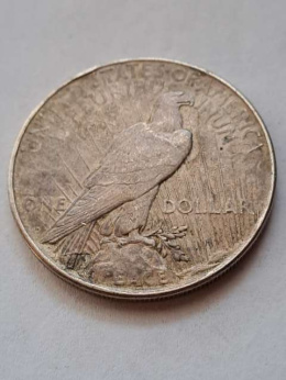 USA Dollar Peace 1923 r D