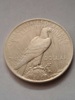 USA Dollar Peace 1922 r