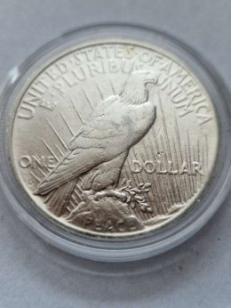 USA Dollar Peace 1922 r S