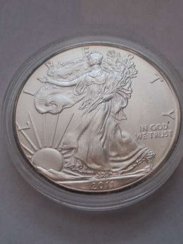 USA Dollar Liberty 2011 r