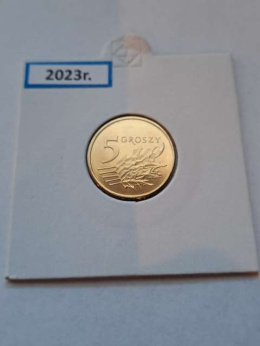 5 Groszy 2023 r