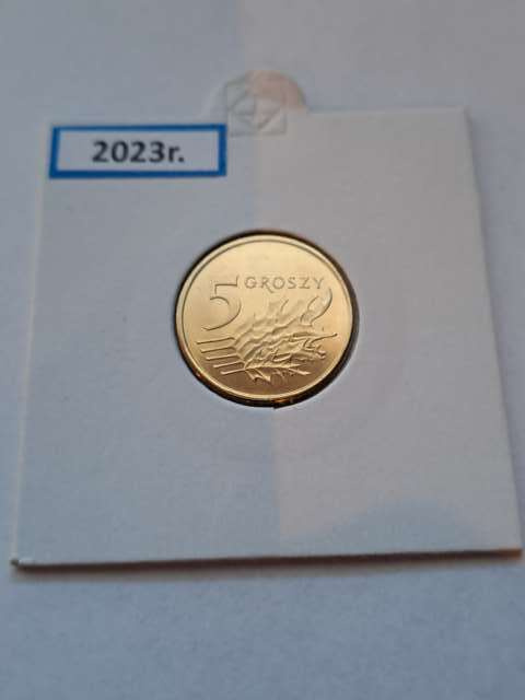 5 Groszy 2023 r