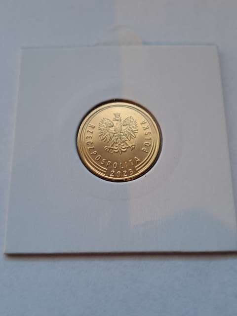 5 Groszy 2023 r