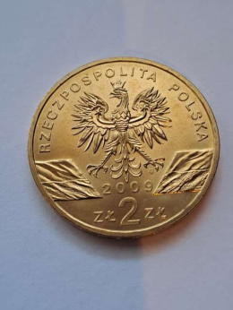 2 zł Jaszczurka Zielona 2009 r