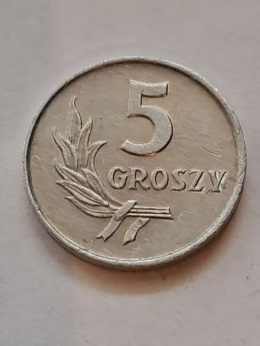 5 groszy 1963 r