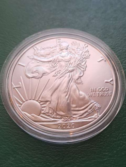 USA Dollar Liberty 2020 r