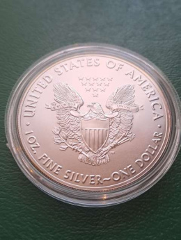 USA Dollar Liberty 2020 r