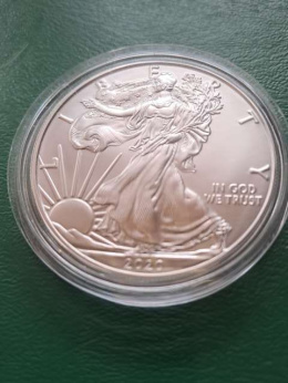 USA Dollar Liberty 2020 r