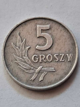 5 groszy 1963 r